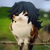 imnot.giyuu