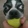 kirilbslw3w