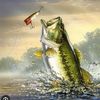fishinglurebass