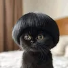 pnk_panther0