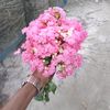md.yaseen.y