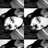 syiffff017