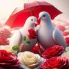 mara_boy2288