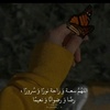 wafaa.ahmad255