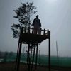 katah_baba_nabon