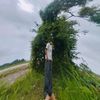 hanmyinthlaing56