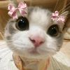 llikepanda2