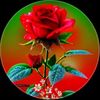 user2542207873529