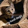 nurayguzel6