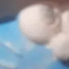 ha.p123