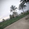user52538158372324