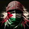 husam.zaytoun