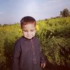 ihtesham.saeed
