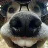 .nguyn.khanh.ly
