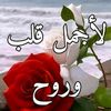 user8456841376986