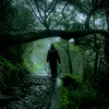 Traveler's eye