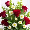 alexander.johnson364
