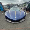 blakespots00