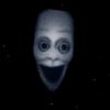 jason17629
