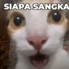 rifat.muhamad8