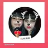 la._.aiiiluu723