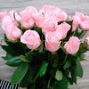 rejep_owa12