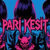 Pari Kesit