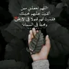 znxkdk261