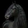 friesan.edit