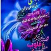 user873225596613