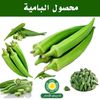 alnazer.abdulla
