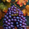user8457634225130
