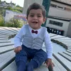 baraa.alshihabi