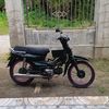rizkyaulia782