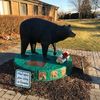 bearwatcher7