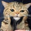 chaienaa