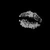 anthonella.esmerald