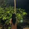 lailatul_aulia_lestari