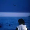 iris_x121