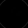 morin____07