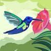 mohammed.ambalath6