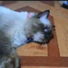 67istuff01