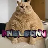ne1son02