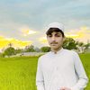 ashfkashfk260