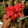 robiul.jahid