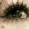 dyranenygna.5