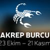 akrep.burcu10