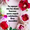 abuelitamimi4