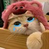 .naa_1411