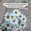 kayagcyfq2y